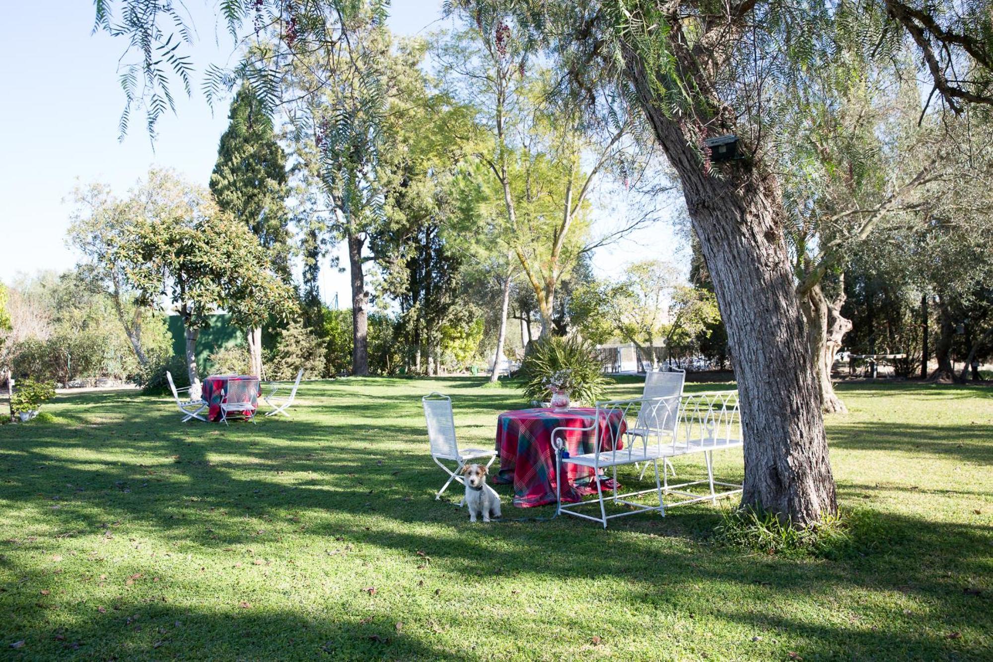 헤레스 Cortijo Rural La Mariscala 빌라 외부 사진