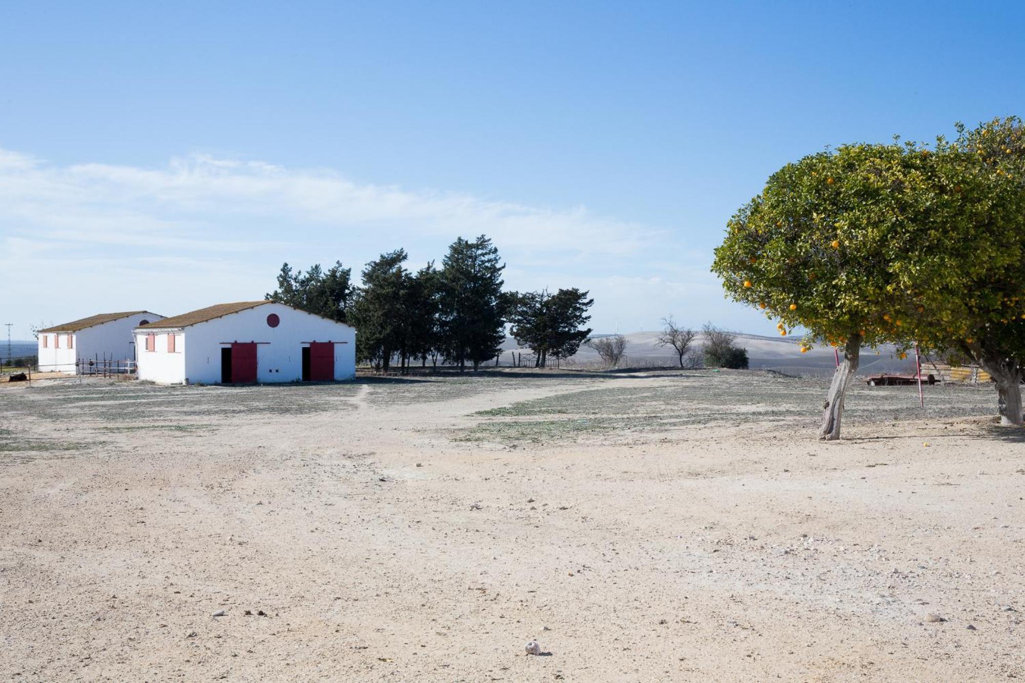 헤레스 Cortijo Rural La Mariscala 빌라 외부 사진