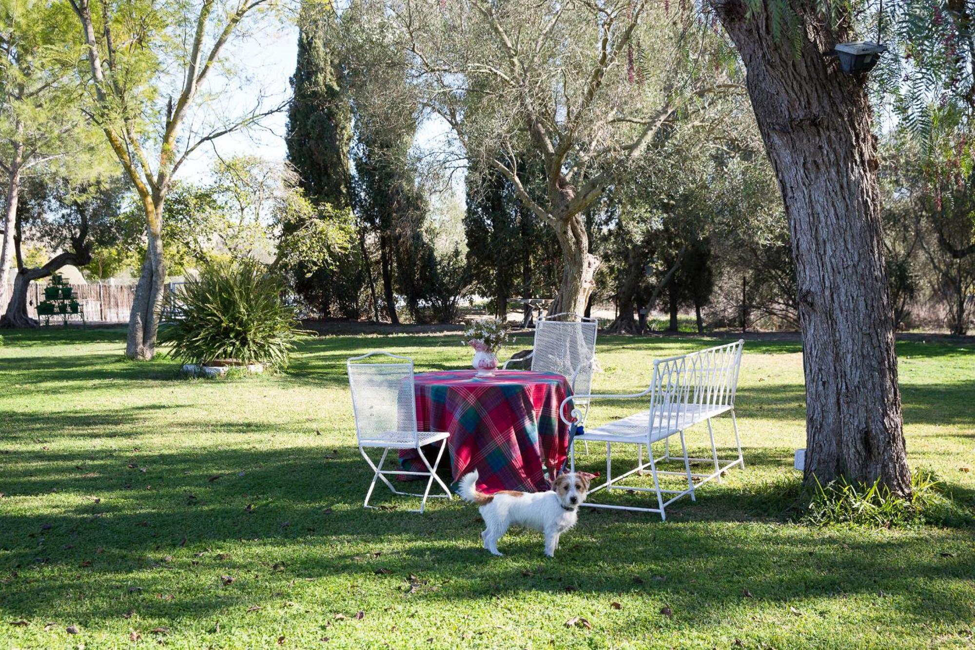 헤레스 Cortijo Rural La Mariscala 빌라 외부 사진